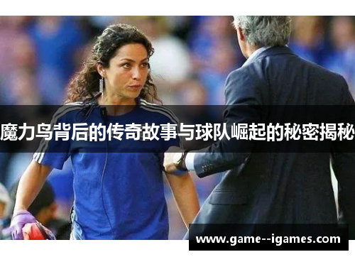 魔力鸟背后的传奇故事与球队崛起的秘密揭秘