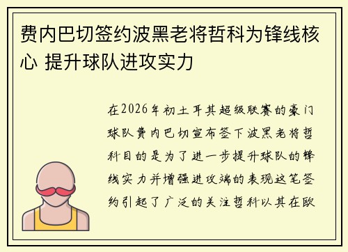 费内巴切签约波黑老将哲科为锋线核心 提升球队进攻实力